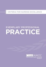 2023 Exemplary Professional Practice Magnet Mini Manual