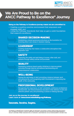 eBook-2020 Pathway to Excellence ? Journey Poster