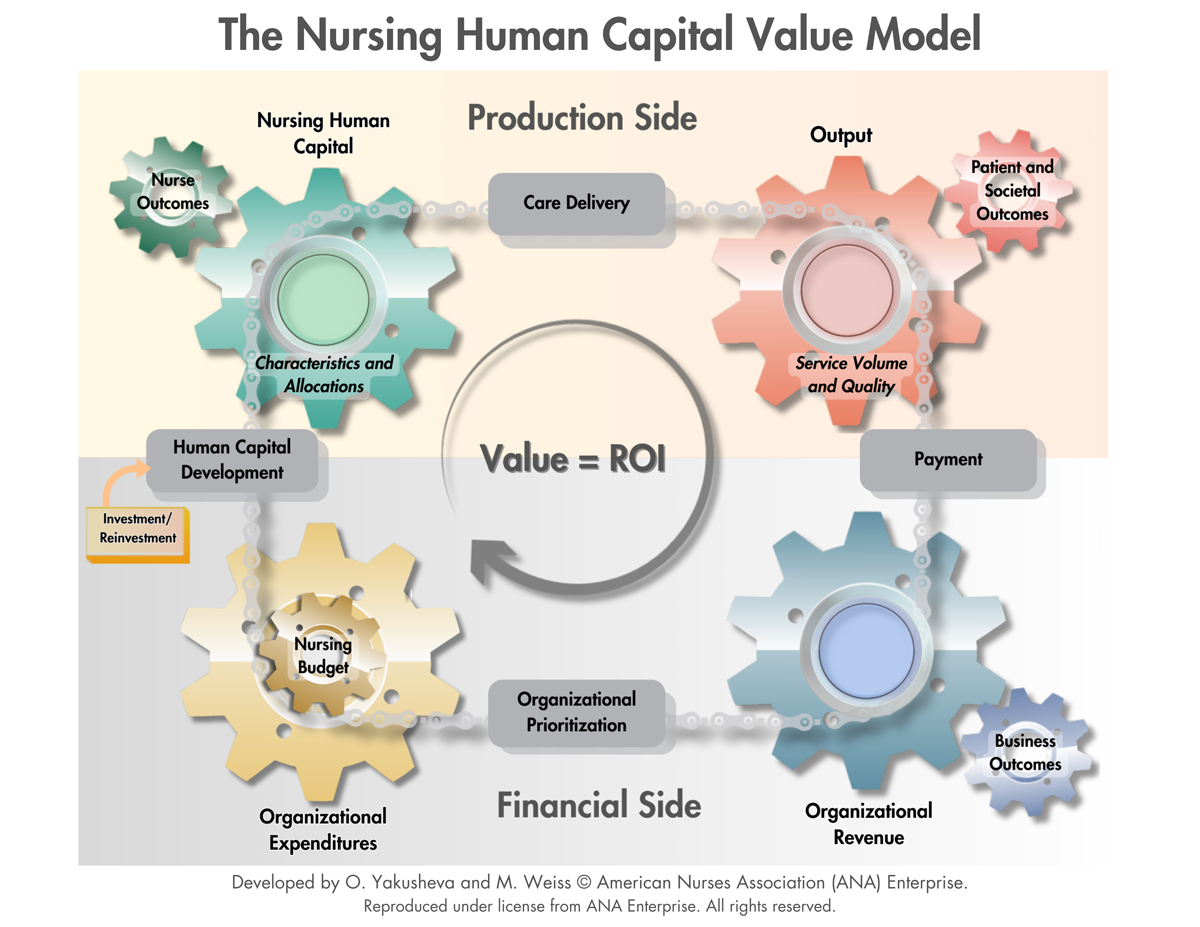 Nursing-Human-Capital-Model.png